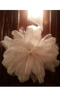 barely winner Snowstorm PENE DE STRUT - Pene decorative nunta de Inchiriat | Royal Mariage