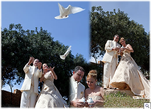 Porumbei albi nunta