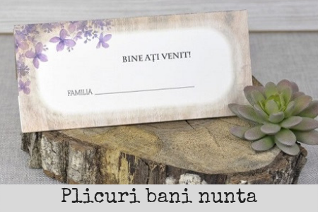 plicuri bani nunta