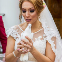 Porumbei Nunta Porumbei Nunta Bucuresti